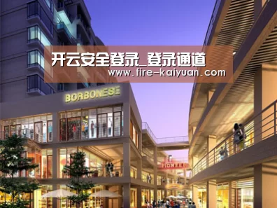 案例展示一(图1)