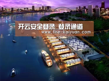 案例展示八