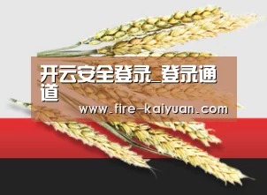 开云安全登录_登录通道