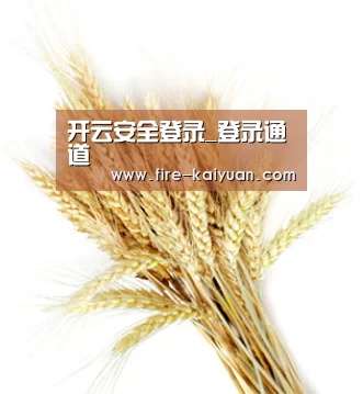 开云安全登录_登录通道