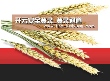 开云安全登录_登录通道