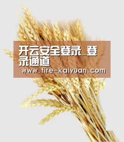 开云安全登录_登录通道