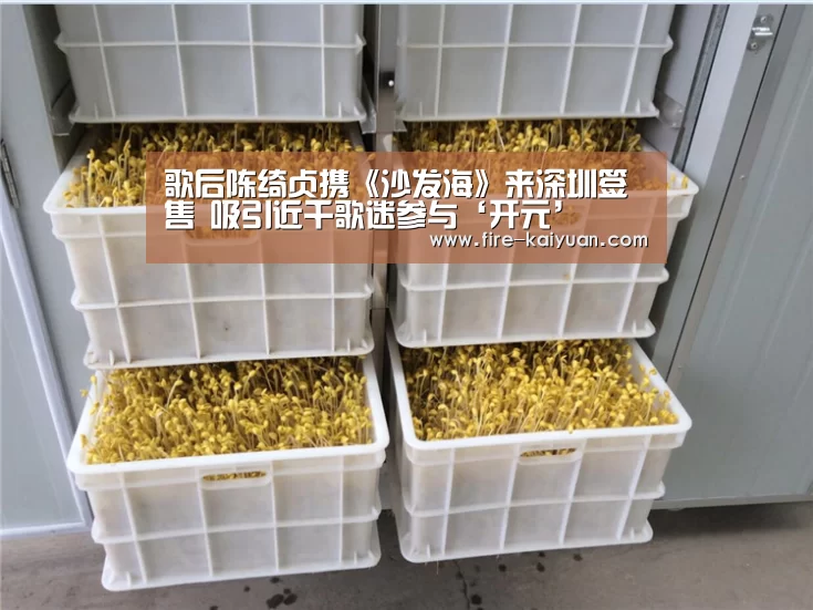 歌后陈绮贞携《沙发海》来深圳签售 吸引近千歌迷参与‘开元’(图1) 开元棋牌官网