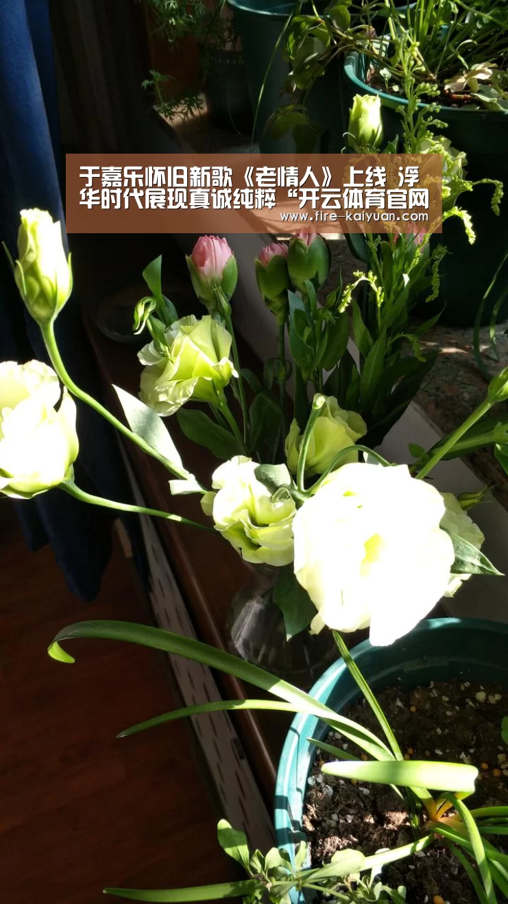 于嘉乐怀旧新歌《老情人》上线 浮华时代展现真诚纯粹“开云体育官网”(图1) 开云体育官网