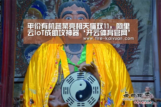 平价有机蔬菜亮相天猫双11,阿里云IoT成助攻神器‘开云体育官网’(图1) 开元
