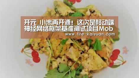 开元_小米再开源!这次是移动端神经网络框架基准测试项目MobileAIBench(图3) 开元