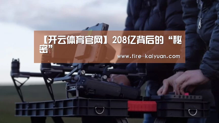 【开云体育官网】208亿背后的“秘密”(图2) 开云体育官网