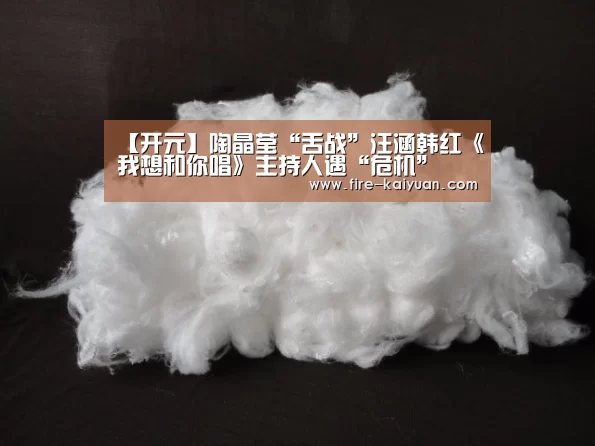 【开元】陶晶莹“舌战”汪涵韩红《我想和你唱》主持人遇“危机”(图1) 开元棋牌
