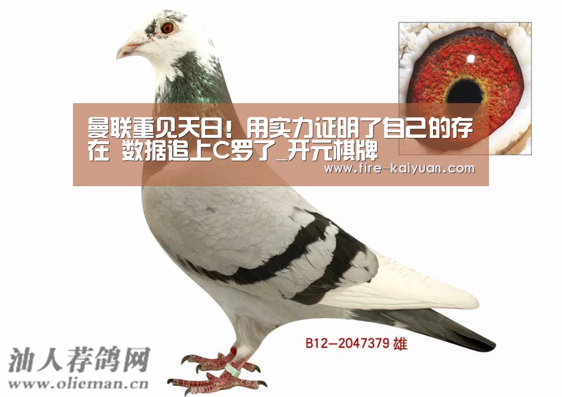 曼联重见天日！用实力证明了自己的存在 数据追上C罗了_开元棋牌